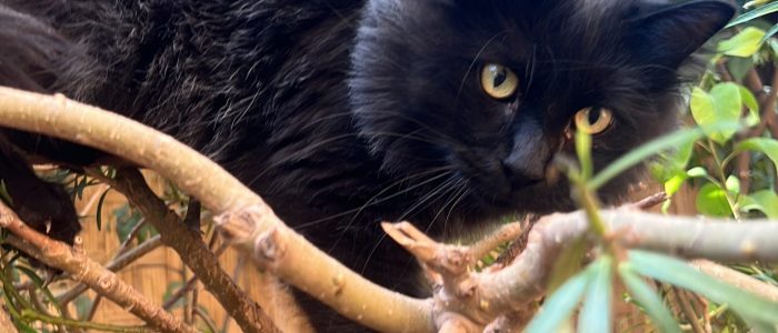 91844CC6-F8E4-441C-8562-F421B1A839A5