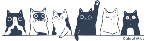 Aider un refuge pour chats au Maroc