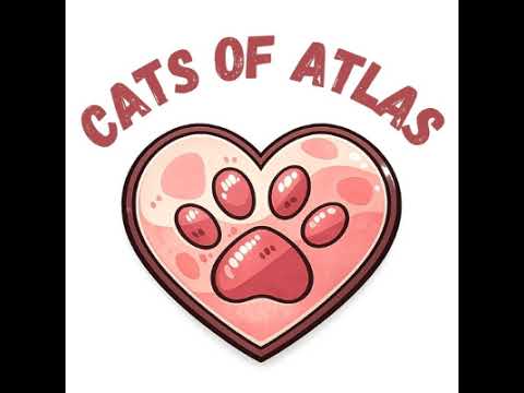 Cats of Atlas – Association (France - Maroc) est en direct !