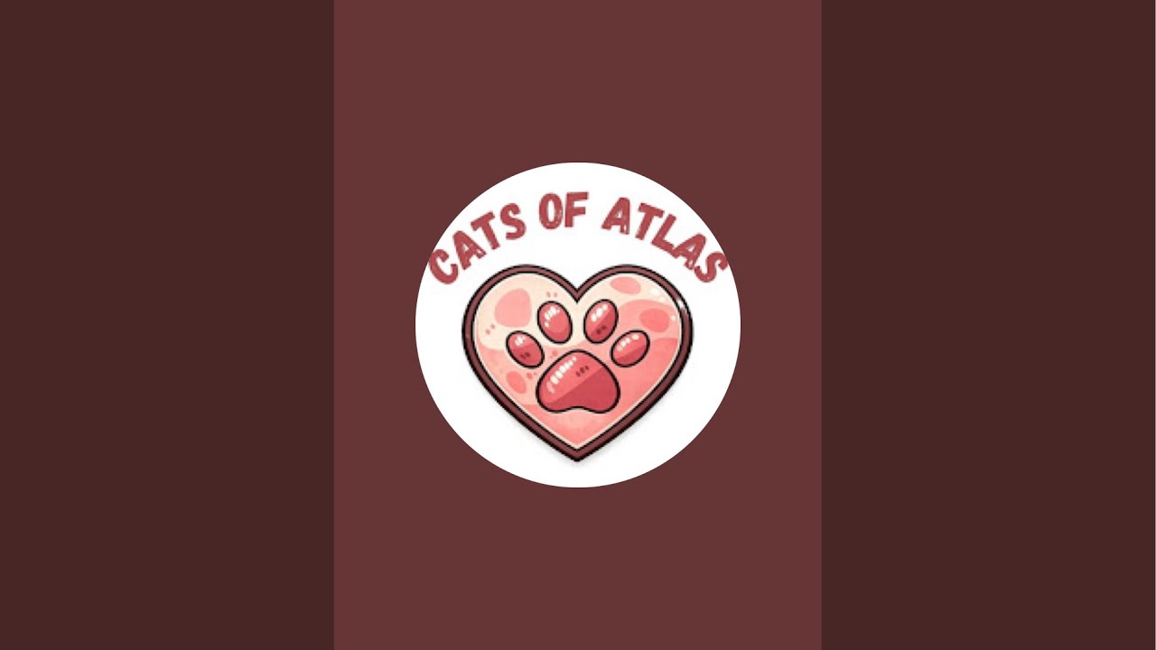 Cats of Atlas – Association (France - Maroc) est en direct !